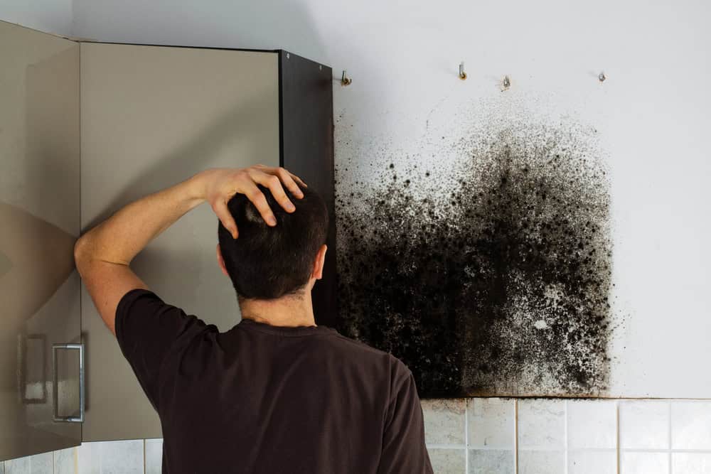 man shocked with mold in his kitchen